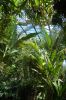 Hamburg-Planten-un-Blomen-120904-DSC_0160.JPG