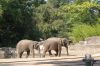 Tierpark Hagenbeck-Hamburg-120904-DSC_0779.JPG