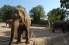 Tierpark Hagenbeck-Hamburg-120904-DSC_0801.JPG