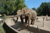 Tierpark Hagenbeck-Hamburg-120904-DSC_0808.JPG