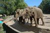 Tierpark Hagenbeck-Hamburg-120904-DSC_0828.JPG