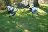 Tierpark Hagenbeck-Hamburg-B-120904-DSC_0174.JPG