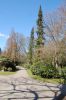 Hamburg-Parkfriedhof-Ohlsdorf-150406-online-DSC_0050.JPG