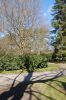 Hamburg-Parkfriedhof-Ohlsdorf-150406-online-DSC_0054.JPG