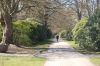 Hamburg-Parkfriedhof-Ohlsdorf-150406-online-DSC_0067.JPG