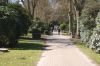 Hamburg-Parkfriedhof-Ohlsdorf-150406-online-DSC_0083.JPG