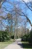 Hamburg-Parkfriedhof-Ohlsdorf-150406-online-DSC_0097.JPG