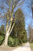 Hamburg-Parkfriedhof-Ohlsdorf-150406-online-DSC_0161.JPG