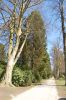 Hamburg-Parkfriedhof-Ohlsdorf-150406-online-DSC_0162.JPG