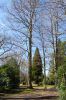 Hamburg-Parkfriedhof-Ohlsdorf-150406-online-DSC_0167.JPG