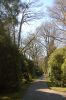 Hamburg-Parkfriedhof-Ohlsdorf-150406-online-DSC_0209.JPG