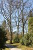 Hamburg-Parkfriedhof-Ohlsdorf-150406-online-DSC_0228.JPG