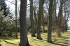 Hamburg-Parkfriedhof-Ohlsdorf-150406-online-DSC_0318.JPG