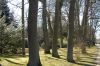 Hamburg-Parkfriedhof-Ohlsdorf-150406-online-DSC_0319.JPG