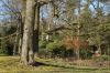Hamburg-Parkfriedhof-Ohlsdorf-150406-online-DSC_0322.JPG