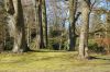 Hamburg-Parkfriedhof-Ohlsdorf-150406-online-DSC_0323.JPG