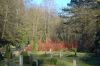 Hamburg-Parkfriedhof-Ohlsdorf-150406-online-DSC_0413.JPG