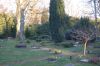 Hamburg-Parkfriedhof-Ohlsdorf-150406-online-DSC_0496.JPG