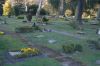 Hamburg-Parkfriedhof-Ohlsdorf-150406-online-DSC_0498.JPG